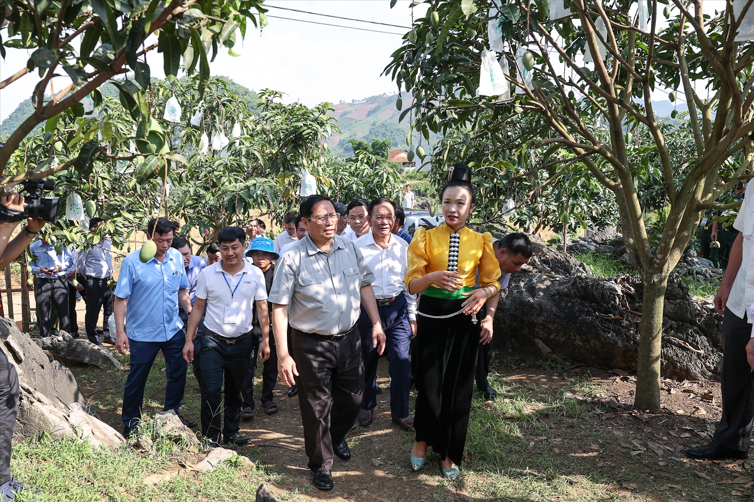 Thủ tướng Phạm Minh Chính thăm mô hình thâm canh xoài hữu cơ tại xã Hát Lót - Ảnh: VGP/Nhật Bắc