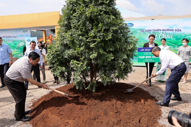 Thủ tướng Phạm Minh Chính cùng các đại biểu trồng cây lưu niệm tại dự án Thiên đường sữa - Ảnh: VGP/Nhật Bắc