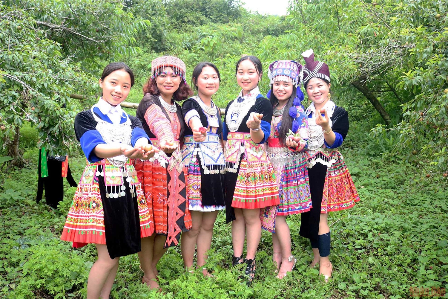Du khách chụp ảnh lưu niệm cùng các thiếu nữ Mông cùng trang phục truyền thống tại Hội thi hái mận 2022. 