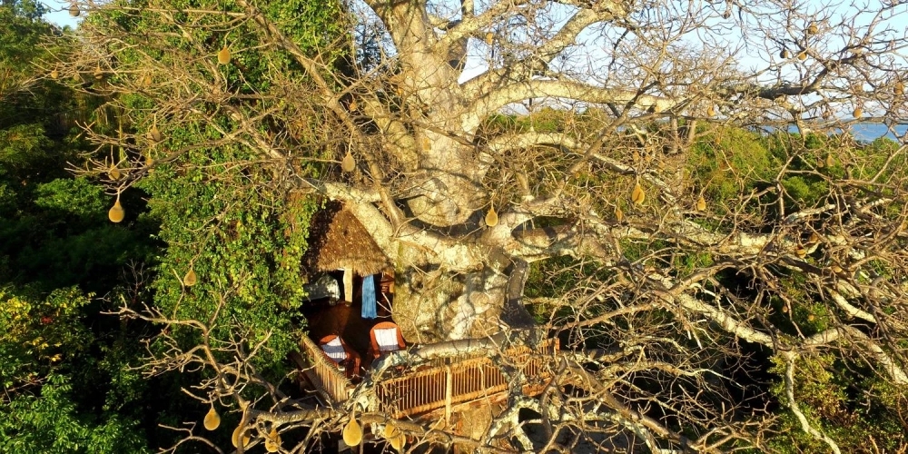 Khu nghỉ dưỡng Chole Mjini (Chile) gồm 7 phòng nghỉ được nâng đỡ trên tán cây cẩm quỳ.