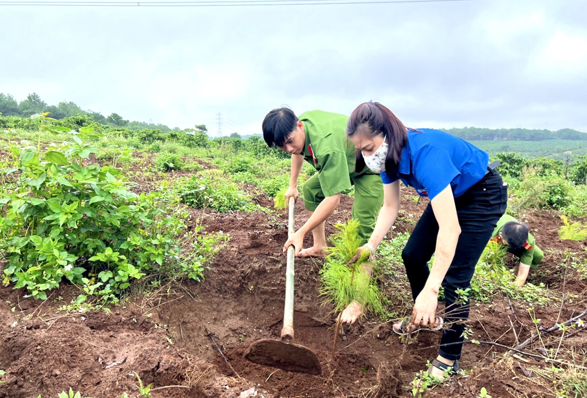 Các đoàn viên thanh niên tham gia trồng 250 cây xanh ở xã Ia Kênh, Tp. Pleiku