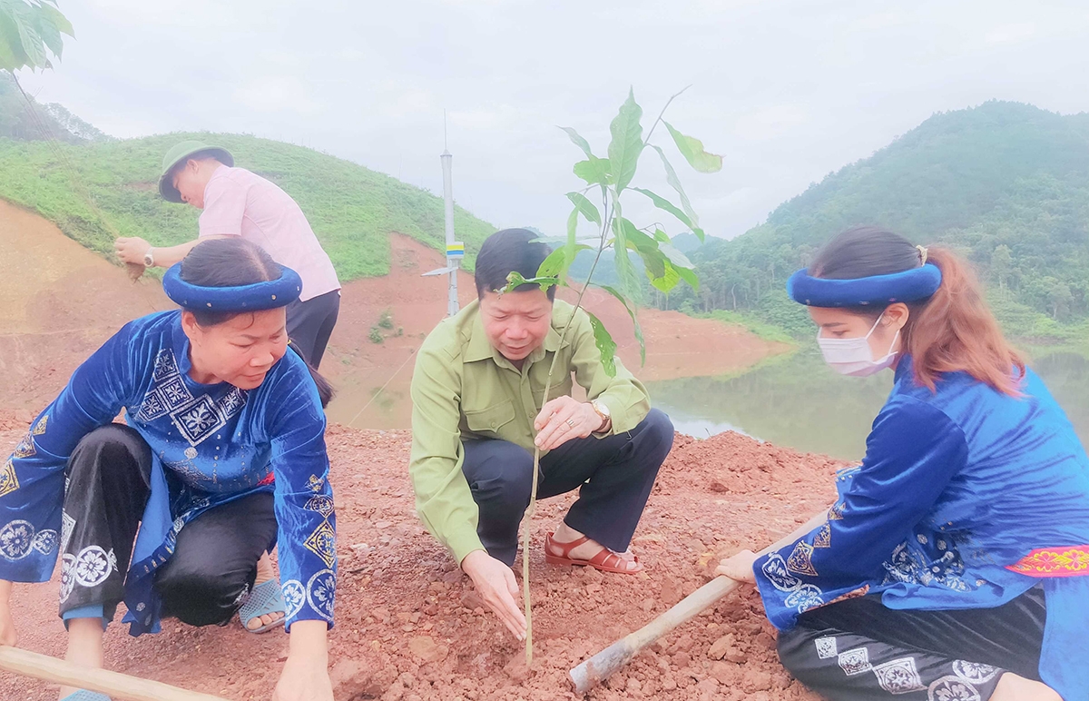 Ông Vũ Thành Long, Bí thư Huyện ủy Ba Chẽ cùng Nhân dân xã Lương mông tham gia hoạt động trồng cây gỗ lớn phân tán