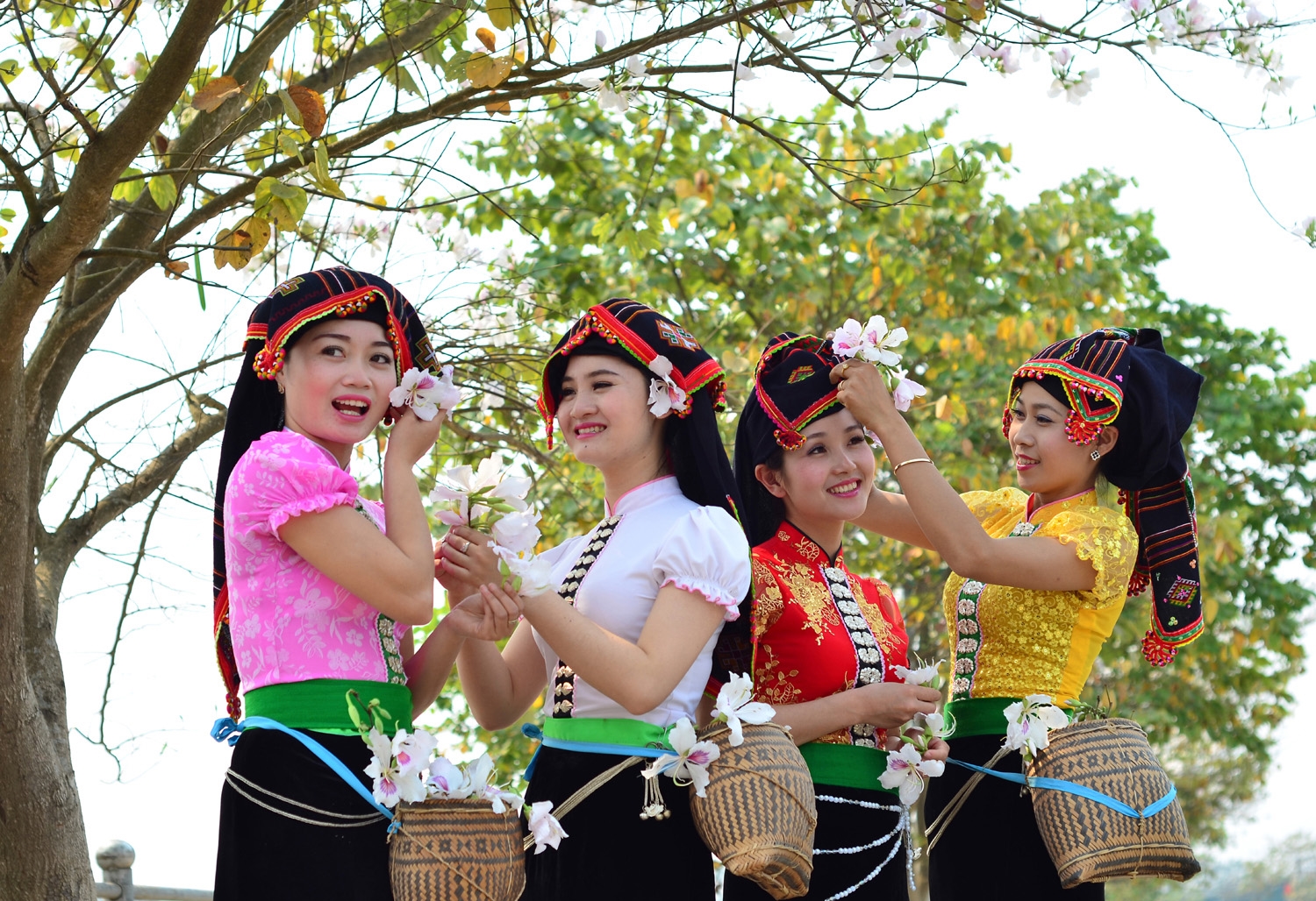 Các thiếu nữ dân tộc Thái (Điện Biên) khoe sắc bên hoa ban