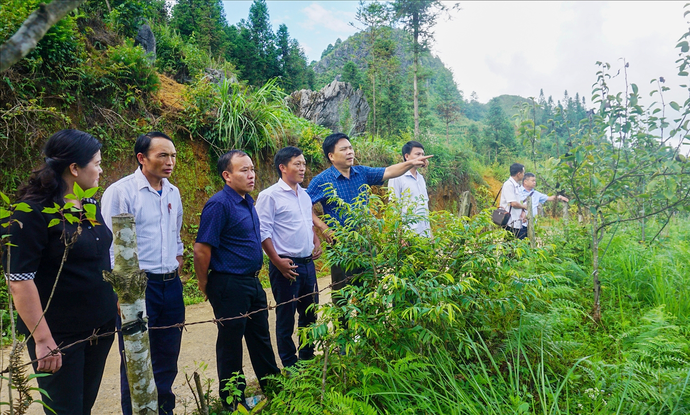 Bí thư xã Quan Hồ Thẩn Giàng Seo Châu (thứ 3 từ trái sang) và đoàn công tác của UBDT thăm mô hình trồng lê Tai Lung