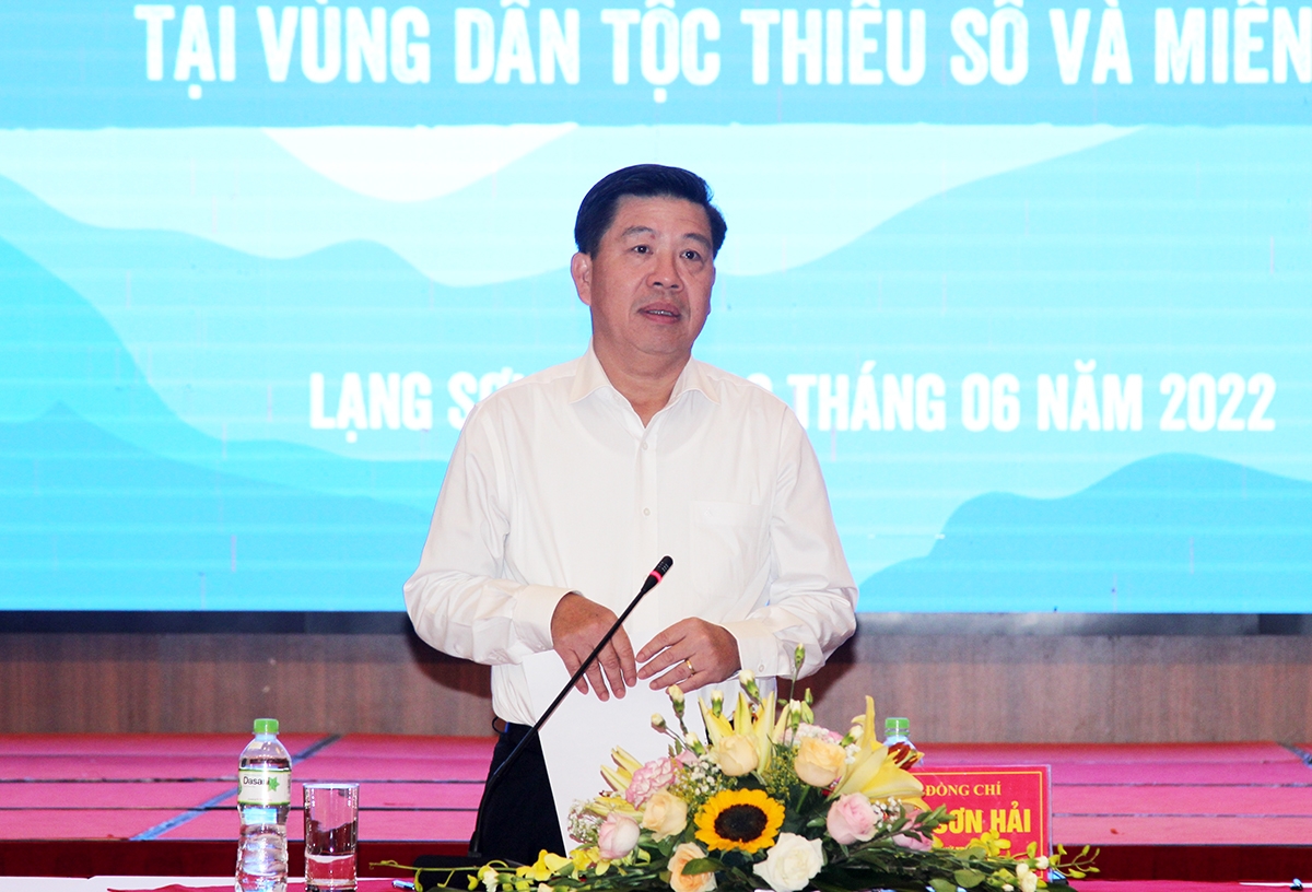 Thứ trưởng, Phó Chủ nhiệm Ủy ban Dân tộc Lê Sơn Hải phát biểu chỉ đạo tại Hội thảo