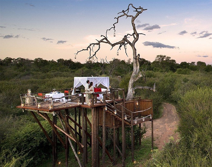 Nhà trên cây Chalkley ở Kruger National Park, Nam Phi.
