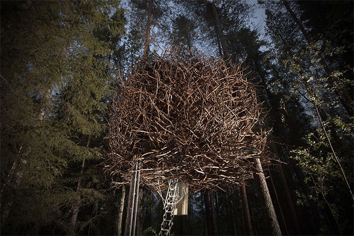 The Bird’s Nest ở Harads, Sweden (Thụy Điển)
