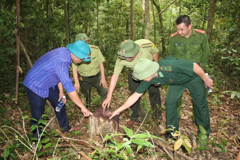 Lực lượng chức năng kiểm tra tình trạng phá rừng tại khu vực suối Len, xã Na Mèo