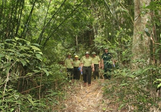 Lực lượng Kiểm lâm huyện Quan Sơn tuần tra bảo vệ rừng