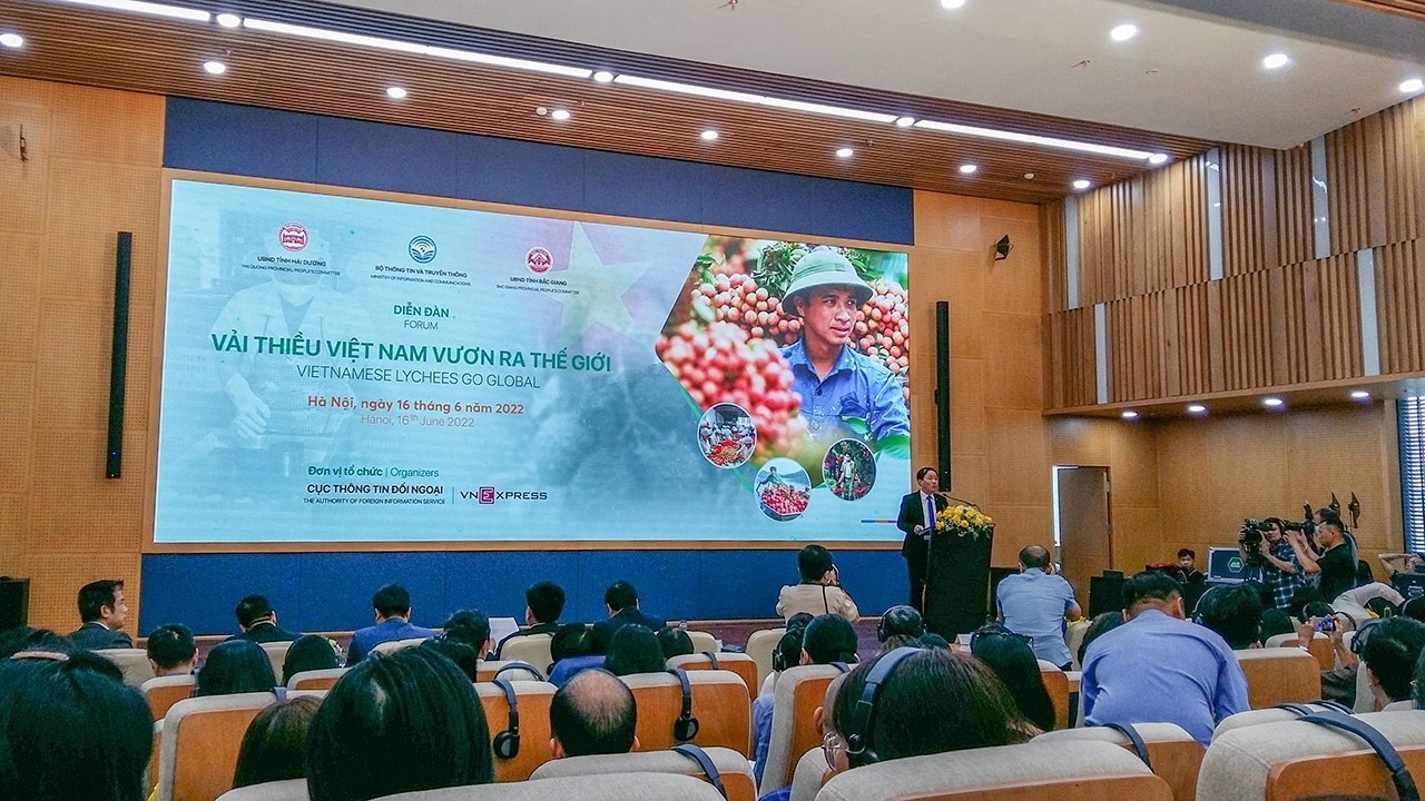 Diễn đàn "Vải thiều Việt Nam vươn ra thế giới" nhằm thảo luận các giải pháp đưa vải thiều Việt Nam đến gần hơn với người tiêu dùng trên khắp thế giới. (Ảnh: Hải An)
