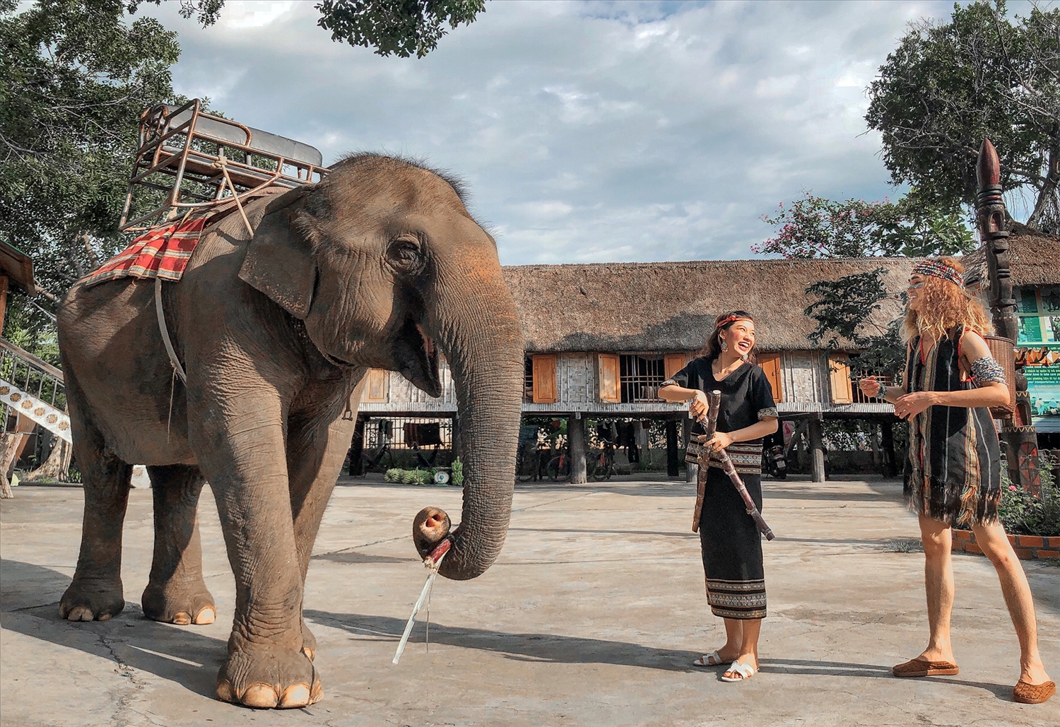 Trải nghiệm khó quên khi đến Bản Đôn là điều không thể bỏ lỡ. Bạn có thể tham gia vào các hoạt động như lái voi, đắm mình trong thác nước hay ăn nấm tươi ngon trong rừng.