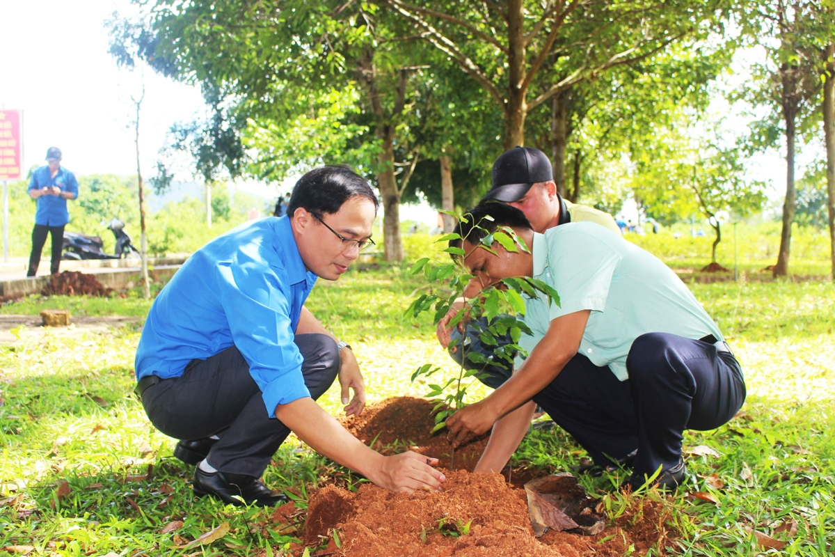 Lãnh đạo Tỉnh Đoàn, Đảng ủy thị trấn Ia Ly trồng cây xanh tại công viên thị trấn Ia Ly, huyện Chư Păh