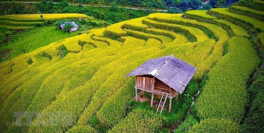 Ruộng bậc thang ở xã Hưng Đạo, huyện Bảo Lạc, đẹp như một bức tranh. (Ảnh: TTXVN)