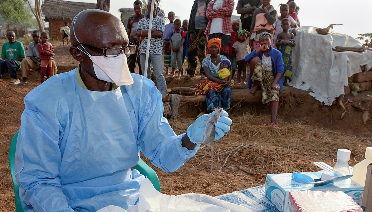 Từ đầu năm 2022, Nigeria đã thành lập một trung tâm ứng phó khẩn cấp để đối phó với sự bùng phát của bệnh sốt Lassa chết người ở nhiều nơi trên đất nước này.