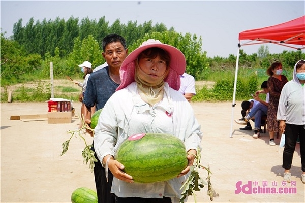 Những người nông dân giới thiệu những quả dưa hấu ngon nhất của họ tại lễ hội