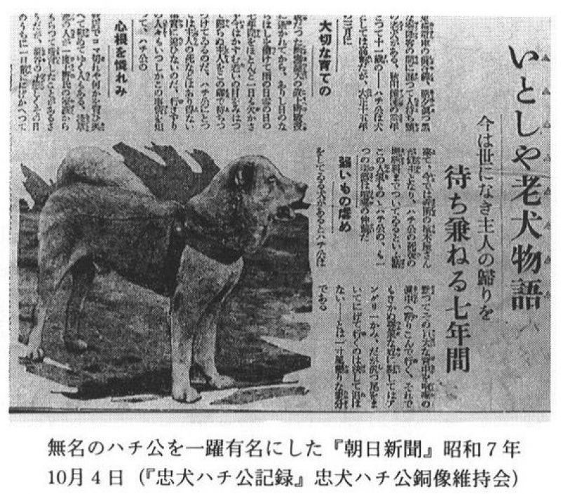 Câu chuyện về Hachiko được đăng lên báo Asahi Shimbun năm 1932