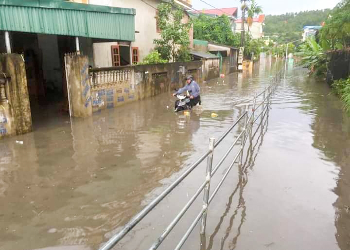 (TIN) Hạ Long (Quảng Ninh): Mưa lớn gây ngập lụt ở nhiều nơi 5
