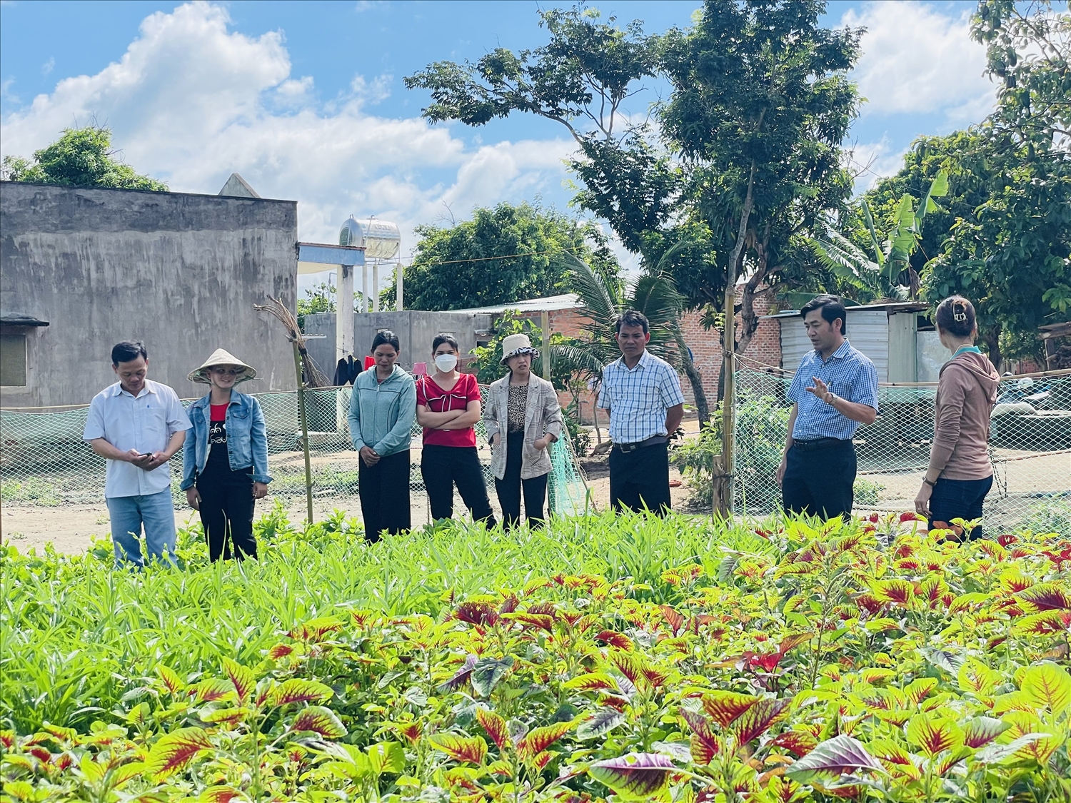 Vườn rau của học viên tham gia khóa trồng rau an toàn tại làng Lợt, xã Kông Bờ La, huyện Kbang