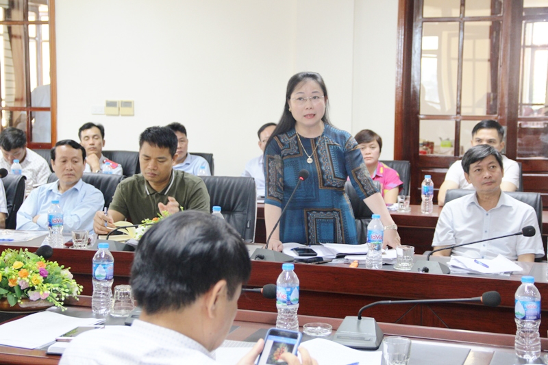 Bà Đinh Thị Thảo, Trưởng Ban Dân tộc tỉnh Hòa Bình tham gia ý kiến