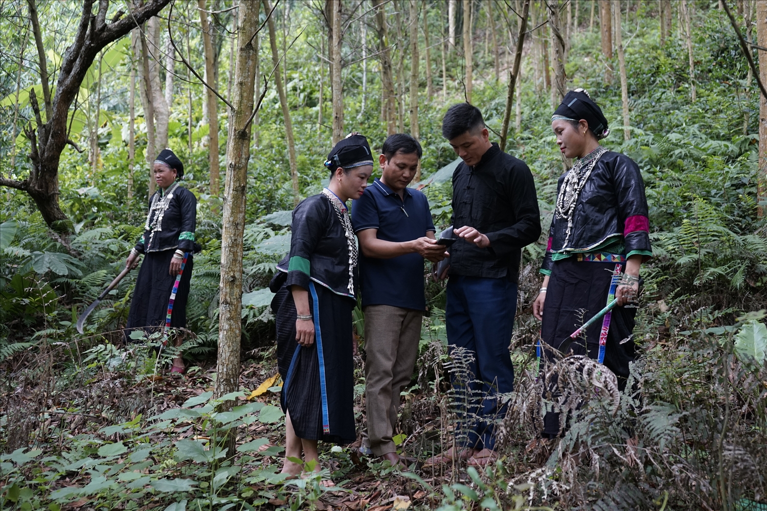 Bí thư Chi bộ, Trưởng thôn Bản Giáng Thèn Văn Hiển cùng cán bộ lâm nghiệp xã và người dân kiểm tra diện tích đất rừng cập nhật trên phần mềm điện thoại.
