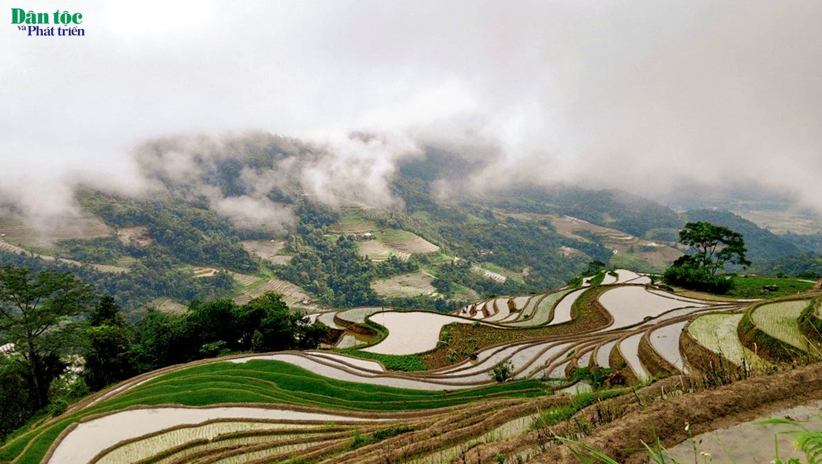 Những đám mây trắng, những màn sương mù che lấp đi một khung cảnh sinh hoạt sản xuất vô cùng náo nhiệt mùa cày, cấy của bản Dao