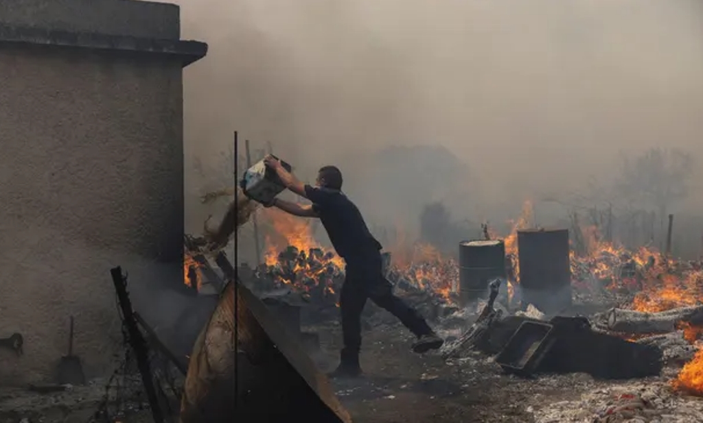Một sỹ quan cảnh sát cố gắng dập tắt đám cháy rừng đang bùng cháy ở làng Vatera, Lesbos. (Nguồn: Reuters)