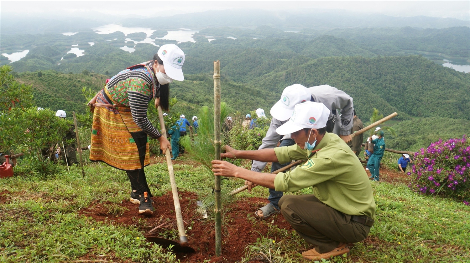 Mục tiêu chuyển đổi xanh được lồng ghép trong Chương trình phủ xanh đất trống đồi núi trọc, kế tiếp là Chương trình 5 triệu ha rừng. (Ảnh minh họa)