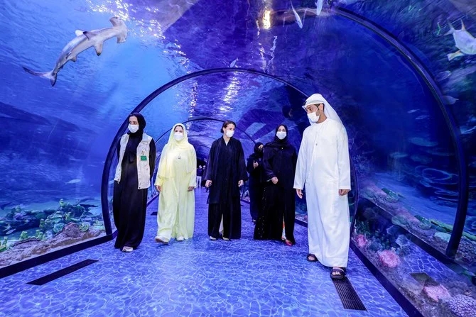 Hình ảnh: Thủy cung Quốc gia Abu Dhabi - nơi cư trú của hơn 46.000 sinh vật số 10