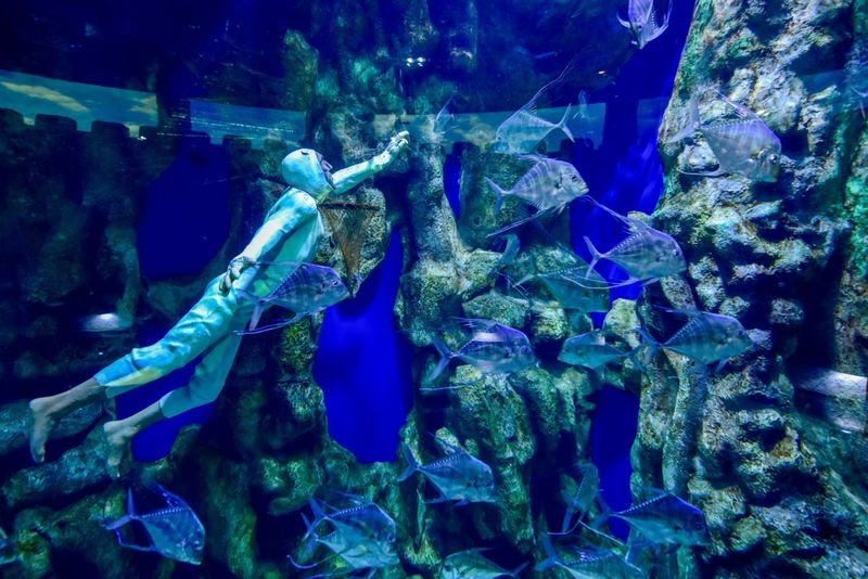 Hình ảnh: Thủy cung Quốc gia Abu Dhabi - nơi cư trú của hơn 46.000 sinh vật số 7