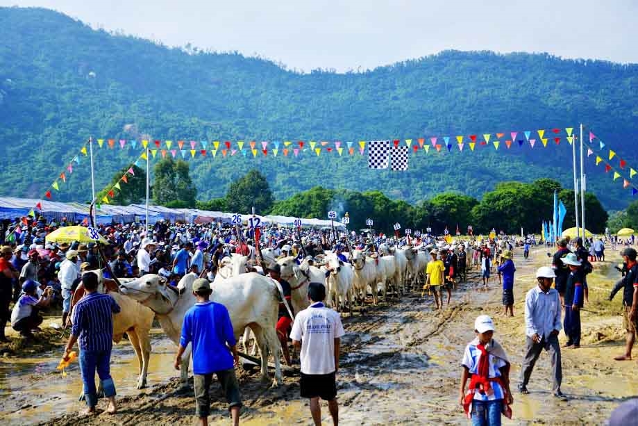 Đua bò Bảy Núi là một trong những môn thể thao của đồng bào Khmer ở An Giang đang được bảo tồn và phát huy thành sản phẩm du lịch