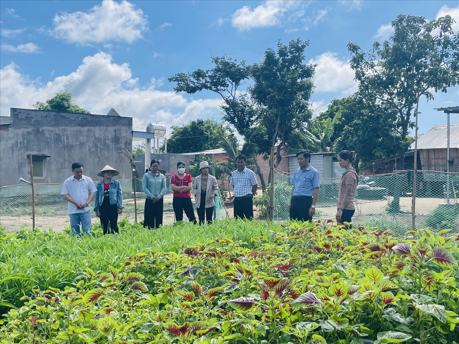 Mô hình trồng rau an toàn của học viên làng Lợt (xã Kông Pla) sau khi tham gia khóa đào tạo nghề
