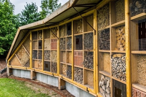 Khách sạn đặc biệt này có chỗ cho tất cả các loại côn trùng như ong, bọ cánh cứng, bọ hung và cả bướm cũng có thể trú ẩn ở đó. (Nguồn: Belgium Posts)