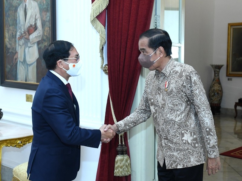 Bộ trưởng Ngoại giao Bùi Thanh Sơn tiếp kiến Tổng thống Indonesia Joko Widodo. (Ảnh: Bộ Ngoại giao)