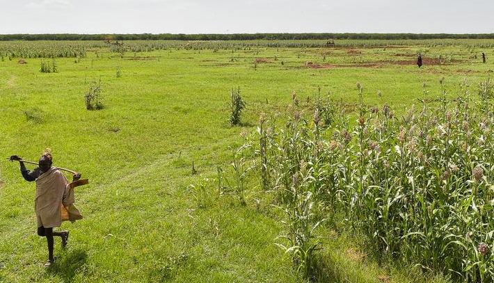 Châu Phi hiện còn rất nhiều đất nông nghiệp chưa được canh tác