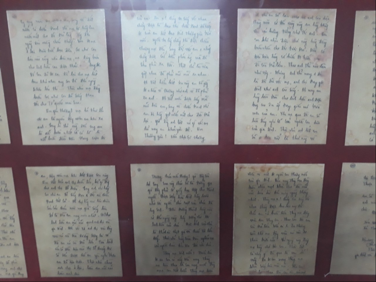 Những bức di thư tại Bảo tàng Thành cổ
