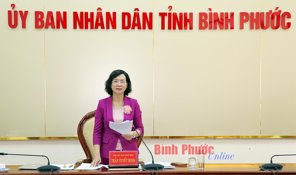 Ủy viên Ban Thường vụ Tỉnh ủy, Phó chủ tịch UBND tỉnh Trần Tuyết Minh kết luận buổi làm việc