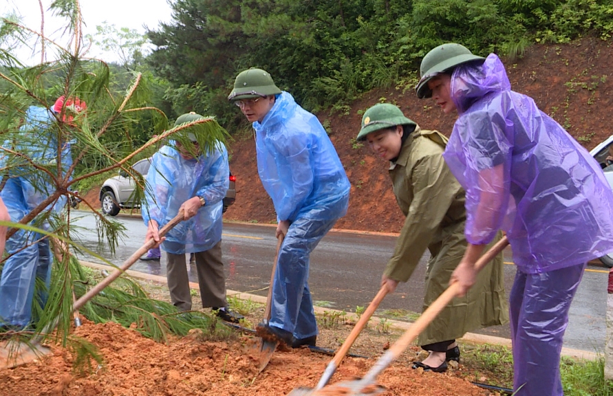 Phó Chủ tịch UBND tỉnh Quảng Ninh cùng cán bộ, viên chức Ngành GTVT và Nhân dân trồng cây dọc tuyến đường Bình Liêu - Húc Động