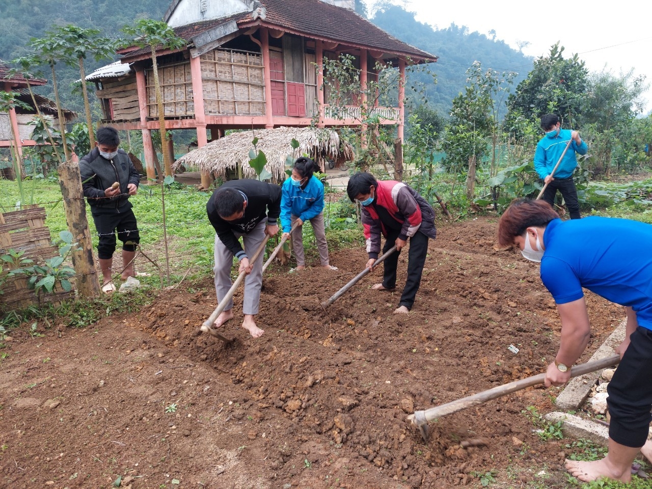 Người Đan Lai ở bản Bá Hạ làm đất trồng cây trong vườn nhà