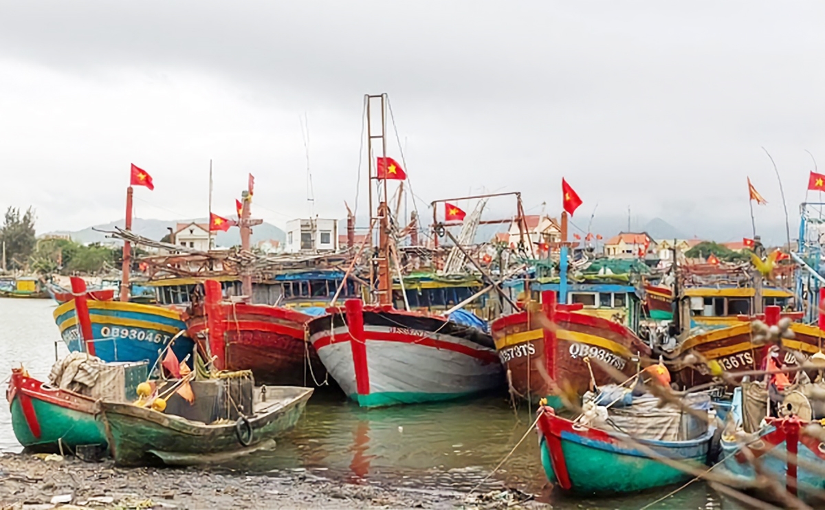 Nhiều chủ tàu cá đánh bắt ở vùng biển xa ở Quảng Bình được thụ hưởng hỗ trợ từ Quyết định số số 2219/QĐ-UBND của UBND tỉnh Quảng Bình