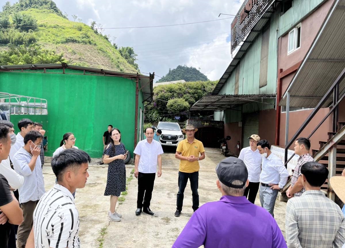 Đoàn đại biểu tham quan Hiệp hội Cây ăn quả ôn đới Sơn La tại huyện Mộc Châu, tỉnh Sơn La