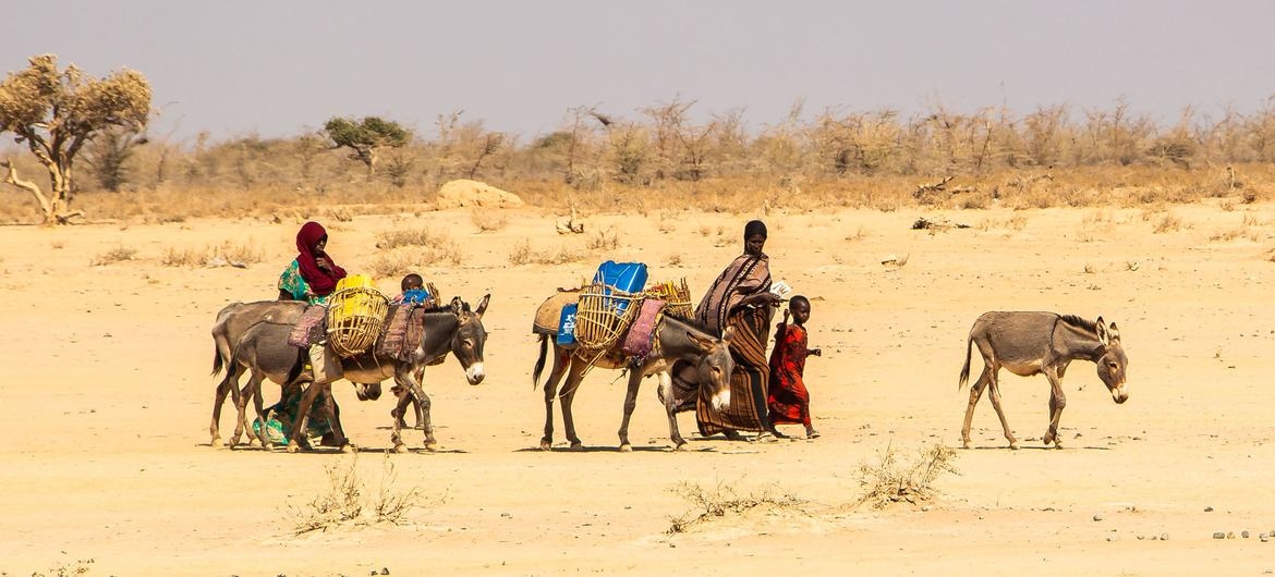Thời tiết khắc nghiệt làm trầm trọng thêm cuộc khủng hoảng nhân đạo trên khắp vùng Sừng châu Phi. Ảnh: UN