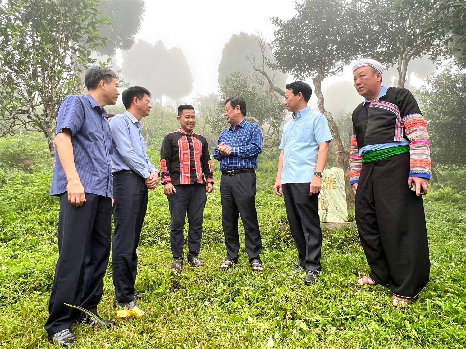 Bộ trưởng Lê Minh Hoan và Bí thư Tỉnh uỷ Đỗ Đức Duy khảo sát thực tế tại vườn trà cổ thụ