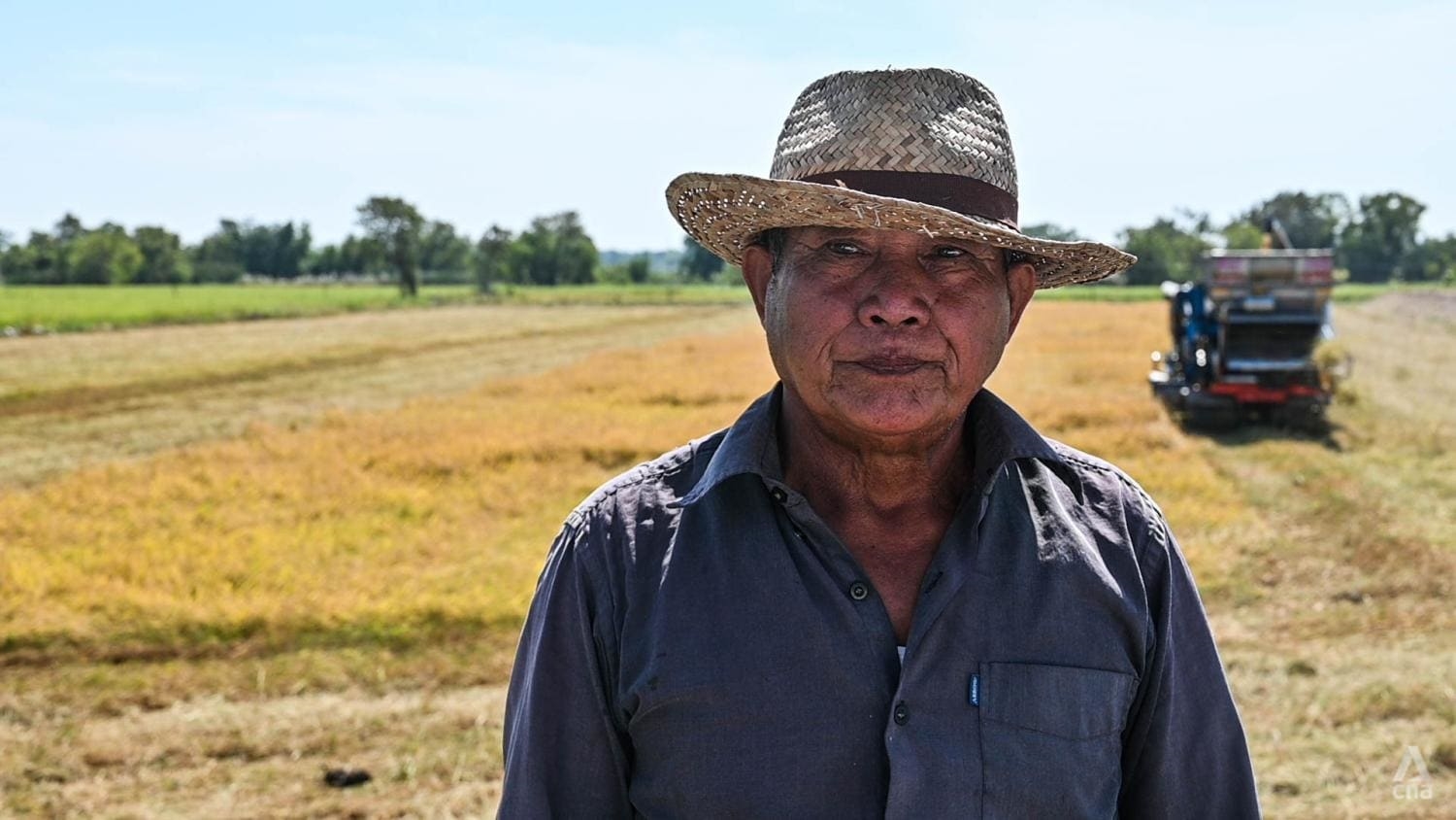 Manas Takfaeng bên cánh đồng của mình