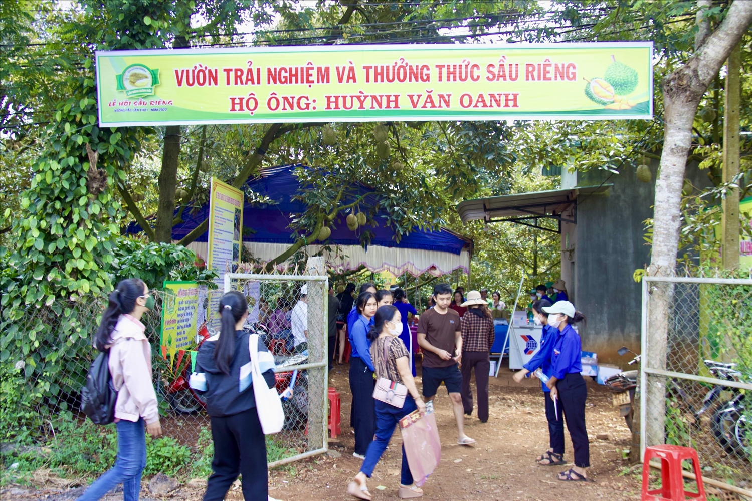 Theo Ban tổ chức Lễ hội sầu riêng Krông Pắk, lượt khách tham quan, trải nghiệm vườn sầu riêng đã tăng cao so với dự kiến. Trong sáng 1/9, đã có khoảng 1.000 lượt khách đến tham quan trải nghiệm