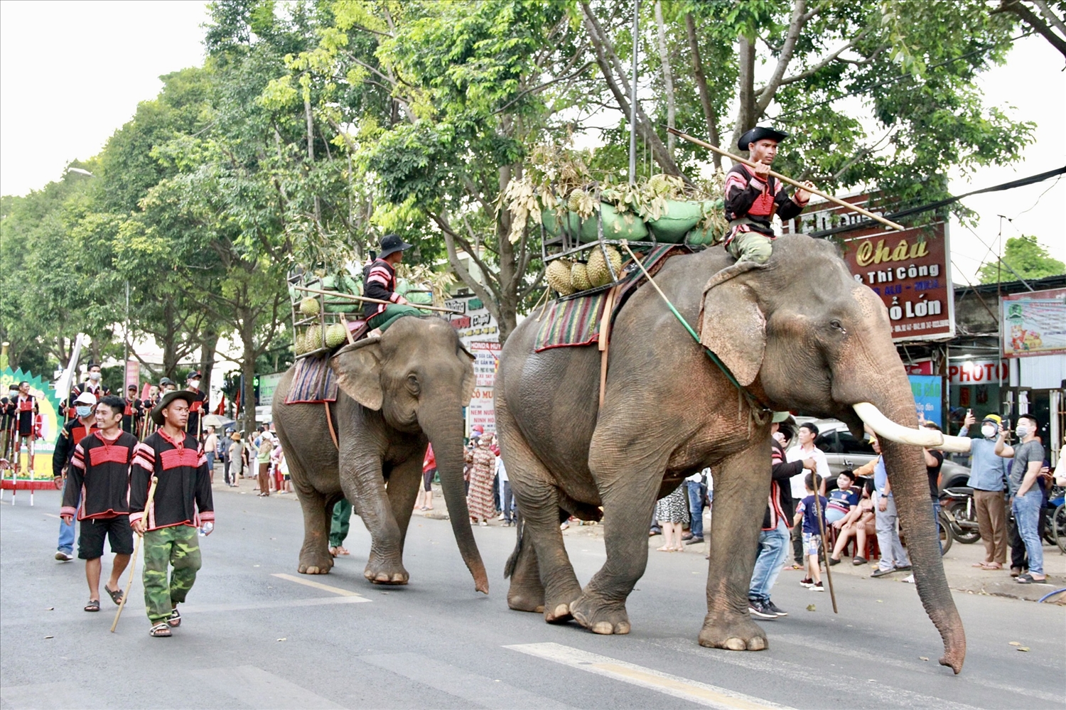 Chú voi xuất hiện trong Lễ hội đường phố thu hút nhiều người dân. Cháu Trần Nguyên Đại, học sinh lớp 5, đến từ huyện Krông Bông chia sẻ: “Cháu được bố mẹ dẫn đi chơi lễ hội, đây là lần đầu tiên cháu thấy một chú voi ngoài đời, cháu rất vui”
