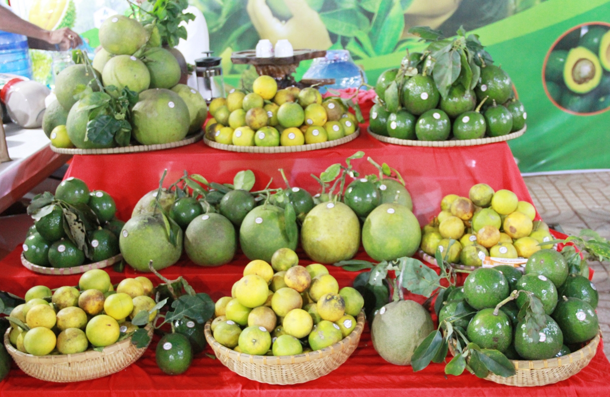 Hội chợ triển lãm các sản phẩm OCOP thu hút nhiều sự quan tâm của người dân. Tại đây, có các loại trái cây đặc sản đến từ địa phương và gần 1.000 sản phẩm chế biến từ trái cây được chững nhận OCOP từ 3 - 5 sao