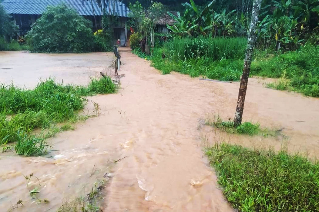 Mưa lớn kéo dài khiến nhiều khu vực tại các huyện Văn Chấn, Văn Yên bị ngập úng