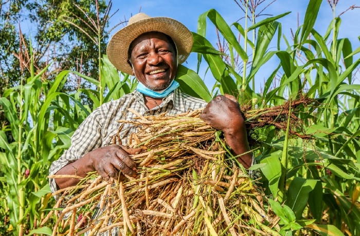 Một nông dân người Kenya vui mừng bên cánh đồng của mình