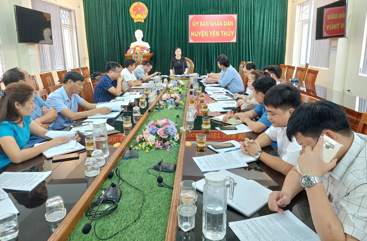 Bà Đinh Thị Thảo chủ trì Hội nghị triển khai Chương trình MTQG trên địa bàn tỉnh Hòa Bình