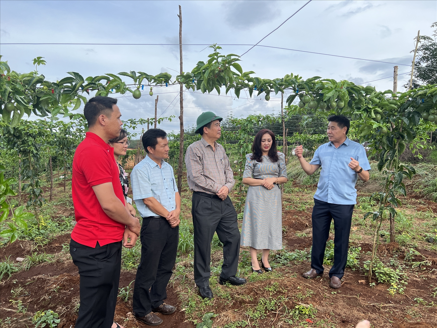 Đoàn tham quan mô hình trồng mới và thâm canh cây chanh leo theo VietGAP quy mô 30 ha tại xã Ia Pếch, huyện Ia Grai, Gia Lai